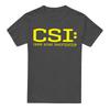 Csi Logo T-Shirt S-2XL, Charcoal