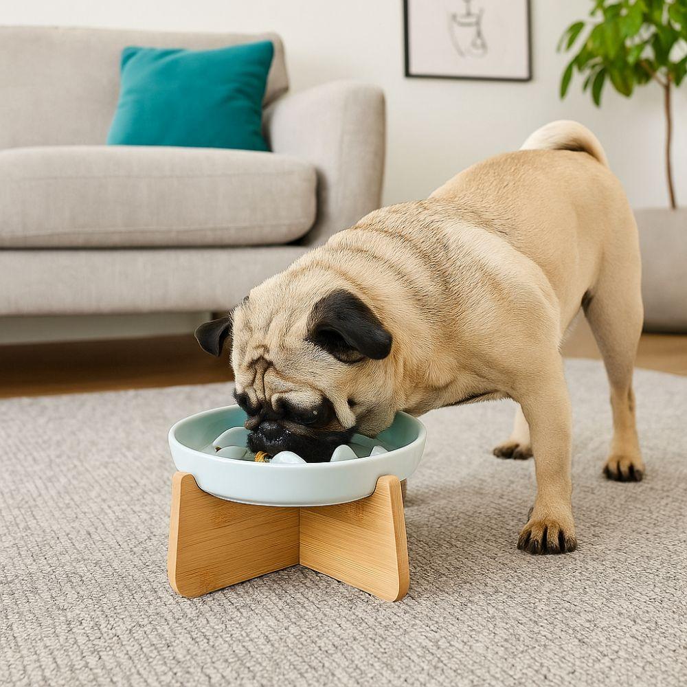 Wood Stand Raised Cat Bowl Anti-choking Cat Feeding Bowl Pet Supplies Slow Feeder Bowl  Pet Feeding