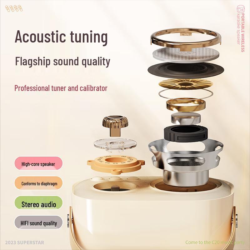 Wanwu C20 PLUS Retro Wireless Karaoke Bluetooth Speaker