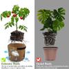 Bolsa de Cultivo de Tela para Plantas 1/2/3/5/7/10/17 Galones Maceta de Guardería Jardín Flor Verdura Tomate Patata Fresa Maceta de Cultivo