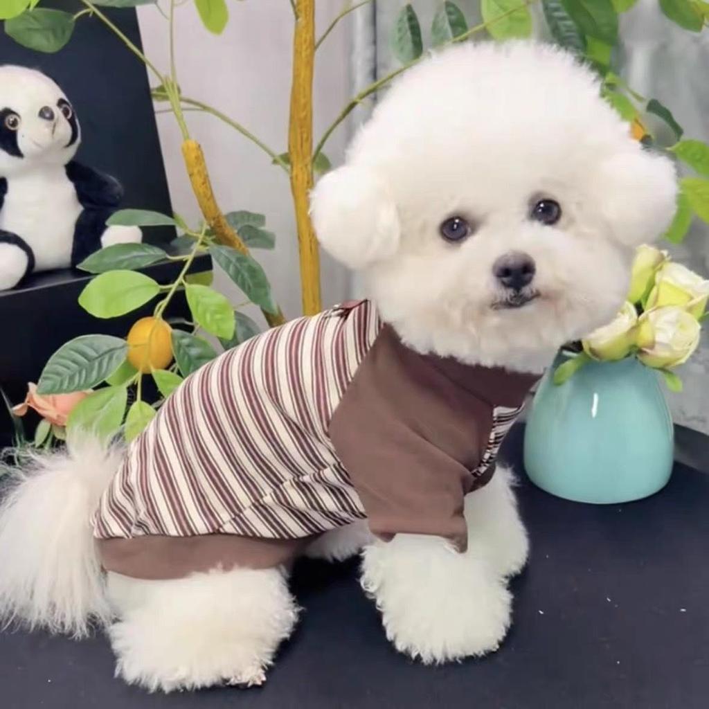 Cozy Striped Base Layer for Small & Medium Dogs - Two-Legged Fall/Winter Warmwear for Teddy & Bichon.