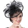 Delicaat Tule Sluier Hoofddeksel Fascinator Hoofdband Voor Bruiloften Feesten En Speciale Gelegenheden Meerdere Stijlvolle Kleuren