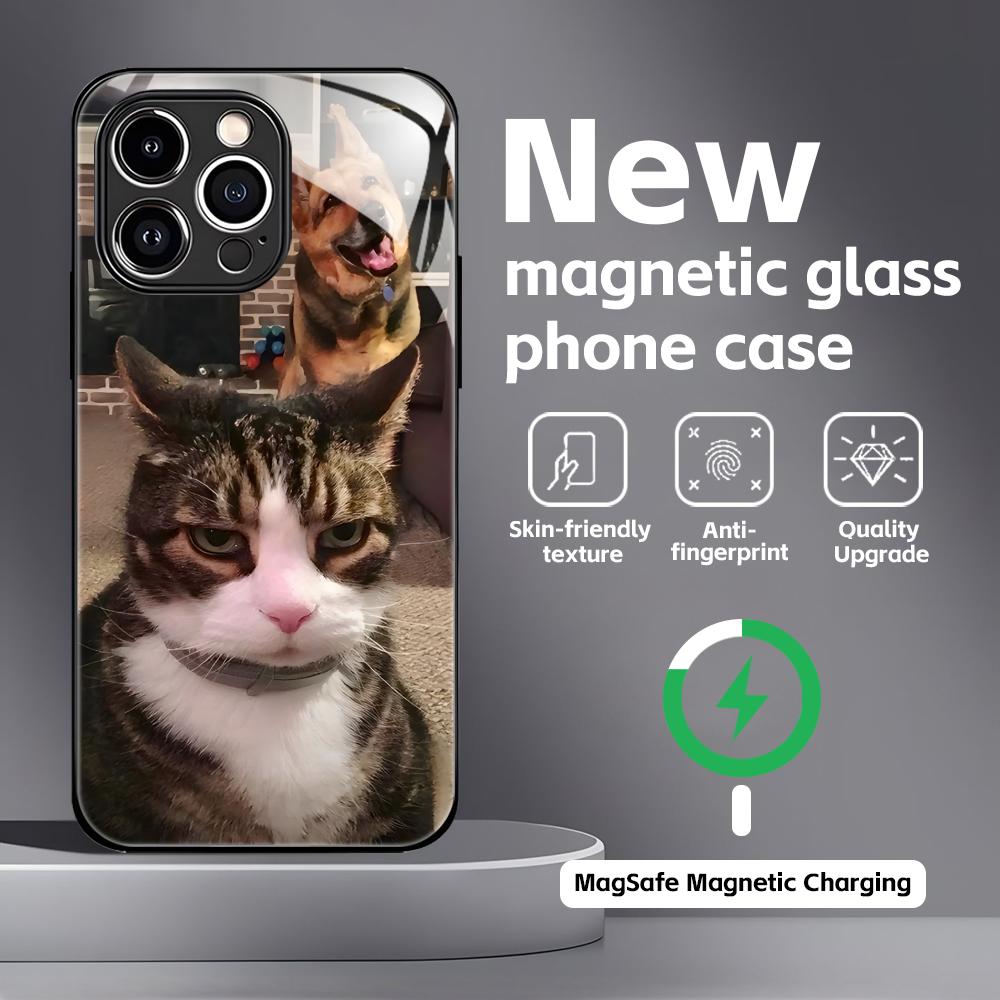 Funny Cat Memes  Phone Case For iPhone17 16 15 14 13 12 11 X XR XS 8 Plus Mini Pro Max Glass Magnetic Case iPhone 14