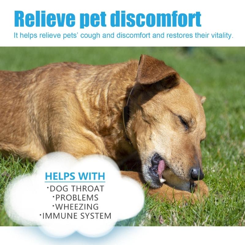 Pet Herbal Drop for Nighttime Cough Relief Safe Natural Formula Cough Throat Symptoms Soothing Calming Essential Oil