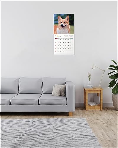 Calendar 2024 Corgi galez (Calendarul Seibundo Shinkosha)