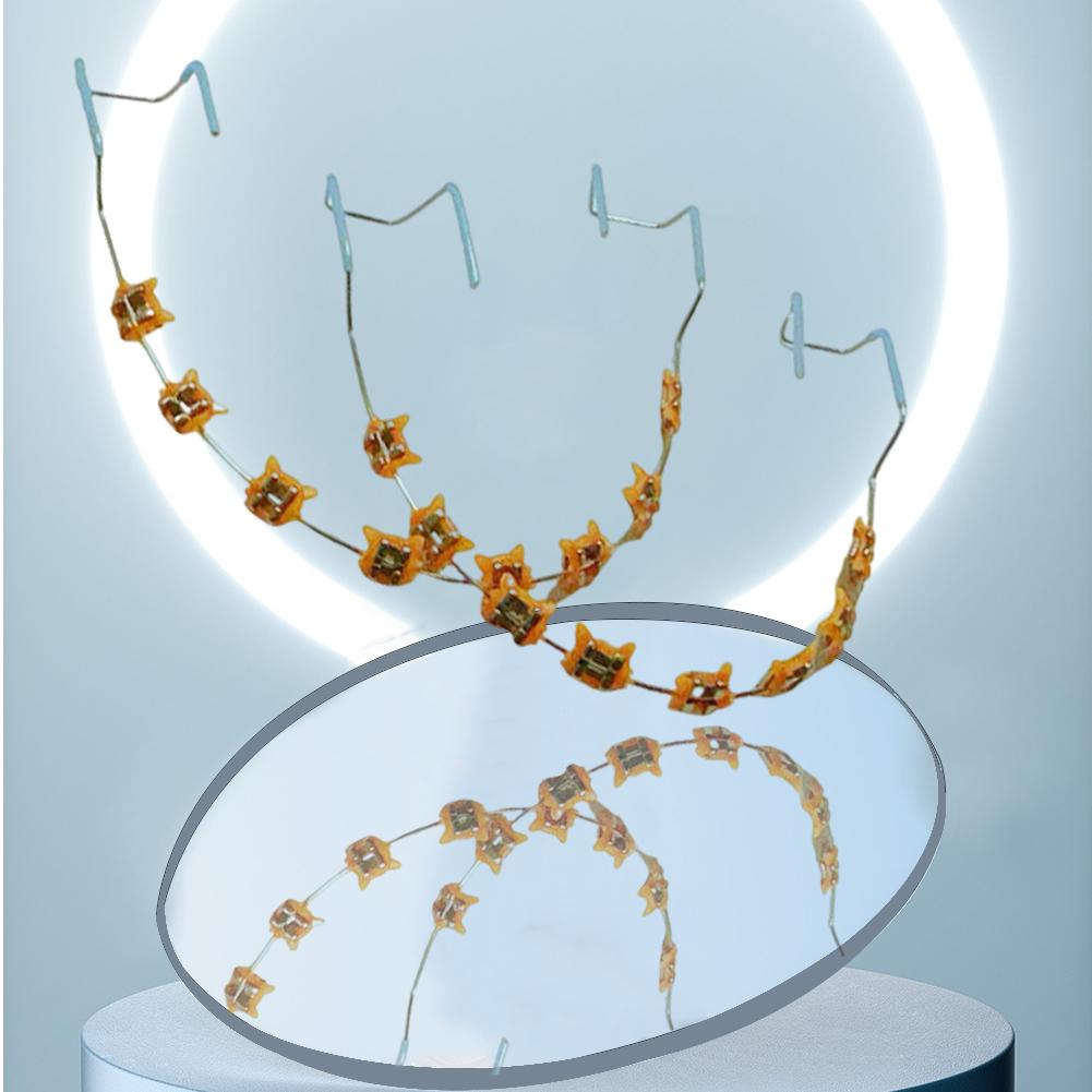 2Pcs Fake Brace Colorful Hook Temporary Teeth Temporary Metal Wires Metal Bracket Orthodontic Ligature Ties Dental Beauty-health