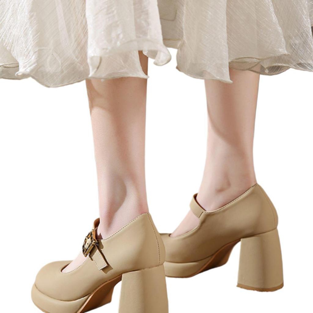 Retro versatile high heels women's 2025 spring new fashion Mary Jane French word with thick heel platform single shoes