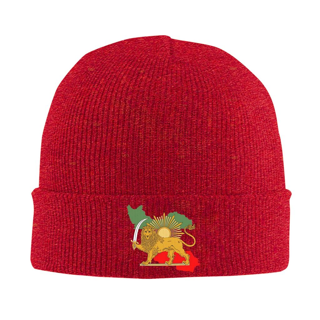 Persia Map & Flag Beanie Hats  Knit Hat Unisex Women Y2K Cool Elastic Caps Autumn Hippie Graphic Bonnet Hats