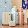 LIDU Hardshell Travel Suitcase