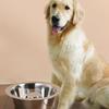 Anti-Slip Cat Food Dish Durable Dog Water Bowl Dog Basin Dog Feeding Bowl  Animal Feeding