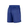 Nike NBA Basketball Shorts Men's Rush Blue/White FB3728-495