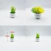 Plastic Succulent Miniature Plant Desert For Home Decor And Office Use
