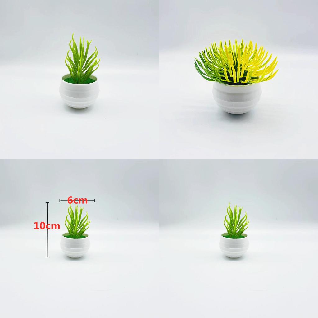 Plastic Succulent Miniature Plant Desert For Home Decor And Office Use