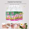 Jingwanjia Foaming Hand Soap Refill Pack