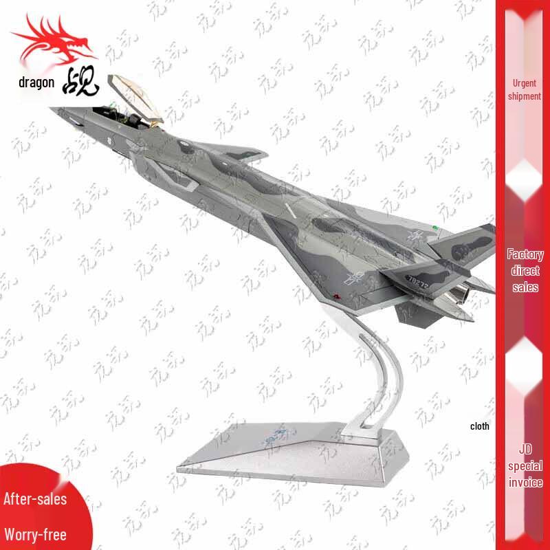 1:48 J-20 Fighter Jet Model