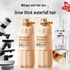 Ginger Root Strengthening Oil Control Shampoo