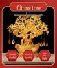 Citrine Money Tree Crystal Ornament - Home Decor & Fortune Gift