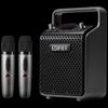 Edifier PP205S Portable Dual-Mic K-Song Speaker (CN Version)