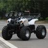 48V 750W Shaft Drive Children's Electric Off-road ATV Buggy with CVT & Three-speed Transmission