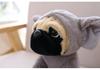 Cute Shar Pei Dog Plush Toy - Perfect Birthday Gift for Kids