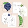 Decorative Fridge Magnets with 3D Blueberry and Pea Pod Designs, Interesting Fridge Whiteboard Magnets That Can Be Separated and
