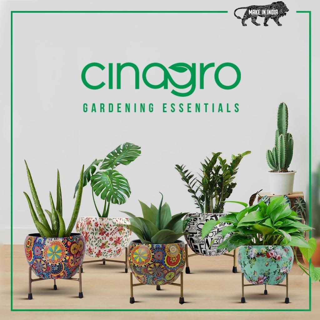 Töpfe für Pflanzen, Pflanzentöpfe zur Heimdekoration, Sukkulententopf, Zimmerpflanzgefäß Gartendekor (Für dich: 6x6 Zoll) Stil: Mandala Fusion Spektrum