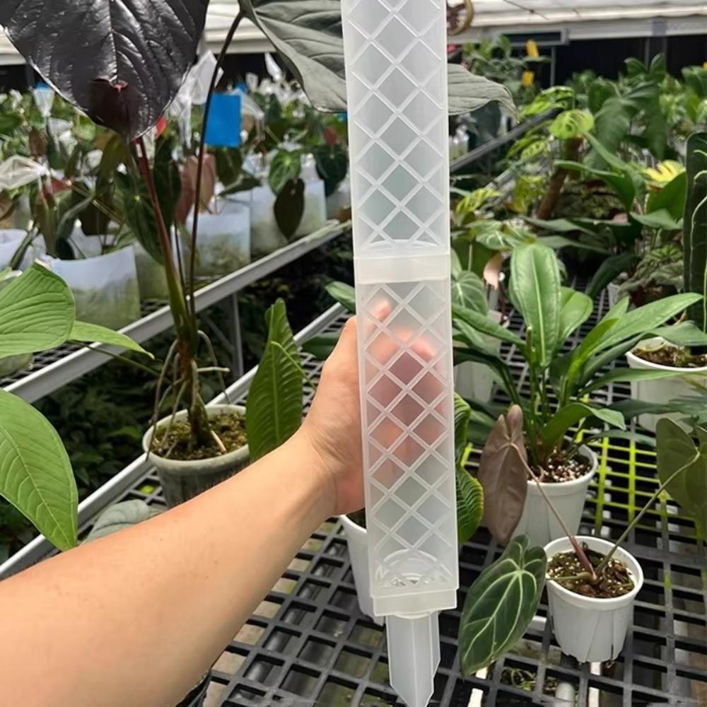 Palo de Trepa para Plantas en Forma de D Caudal Ajustable Poste Columna de Musgo Flores en Maceta