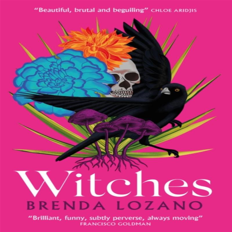 Witches by Brenda Lozano Paperback Book 9781529412239