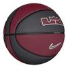 Nike LeBron All Court Basketball