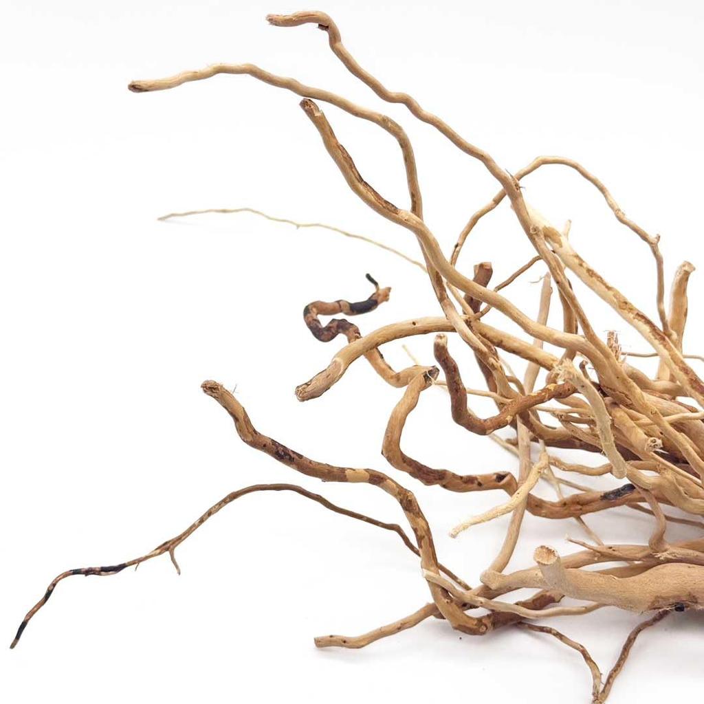 [AiO JAPAN] Aquarium Treibholz - Ver. 4 - Natürliche Wurzelholz-Wurzeln, 50g Bündel, Ultra-dünne Wurzeln, Anpassbare Form, 15-30cm