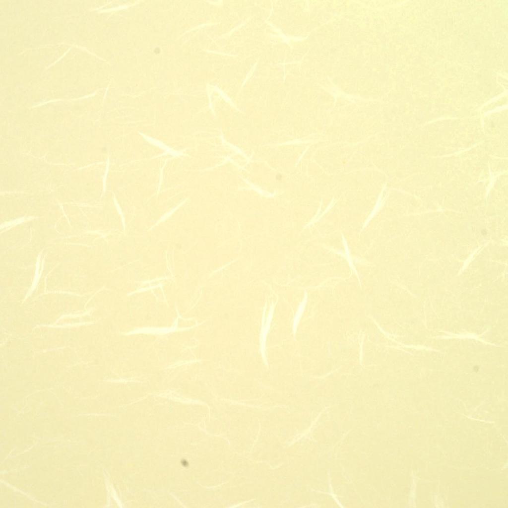 Daiko Washi Per Extra Y 100 Sheets Paper, Cream, Approx. 0.35mm Sheet, Thick, Grain, A4,