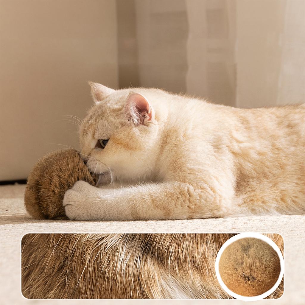 4/8/12pcs 3 Inch Furry Catnip Toy Ball Washable Soft Fluffy Interactive Cat Toy for Winter Cute Kitten Pet Interactive Gifts