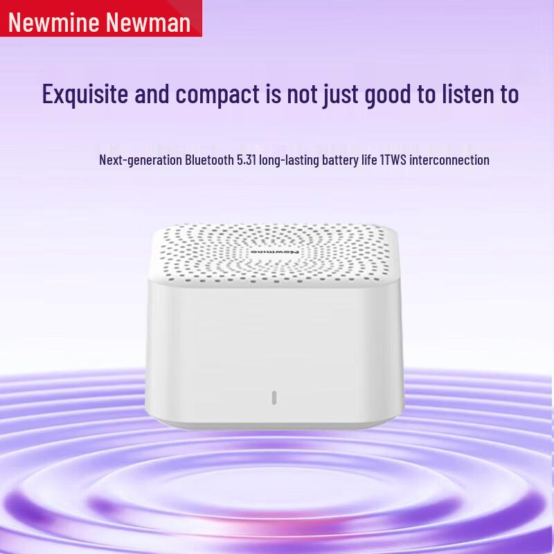 NEWMINE BT520 Wooden HIFI Bluetooth Speaker