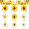 9 Pcs Paper Flowers,Paper Fans Party Decorations Sunflower Daisy Floral Backdrop Flower Party Decorations for Wedding, Home, Garden Decoration(Yellow
