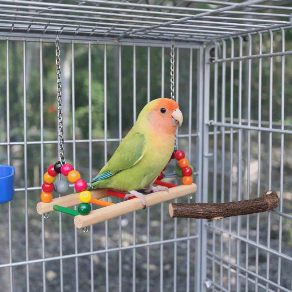 Multi Functional Bite Resistant Parrot Swing Colorful Hanging Beads Bird Wooden Bird Cage Standing Interaction
