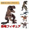 Rurumi Realistic Dinosaur Model, 30cm Large Figure, Impressive Carnivorous PVC Figure (Tyrannosaurus)