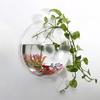 Pot Wall Hanging Mount Bubble Aquarium Bowl Fish Aquarium Home Decoration