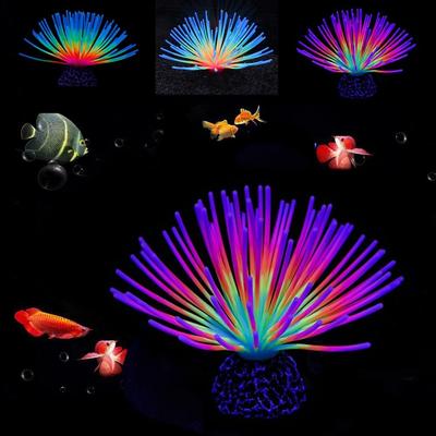 Peces y mascotas acuáticas – Decoración de peceras