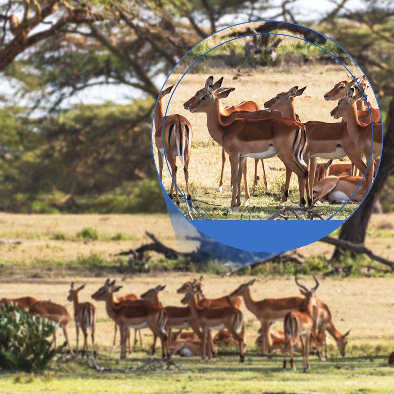 Binoculars High-power High-definition Low-light Night Vision Professional Portable Telescope Adult Outdoor Mountaineering Telescope