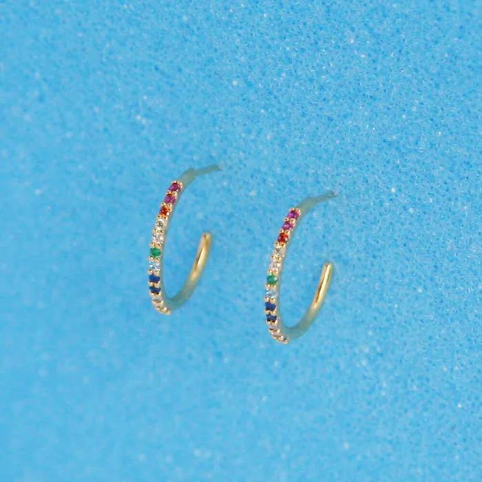 Rainbow Ring Earrings