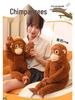 Cross-Border E-commerce Plush Monkey Doll - Animal Zoo Simulation Gift Item