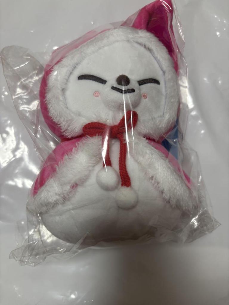 [USED] Stray Kids Ien Plush Toy