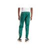 Adidas Panel Pants Collegiate Green Men Streetwear IS4557