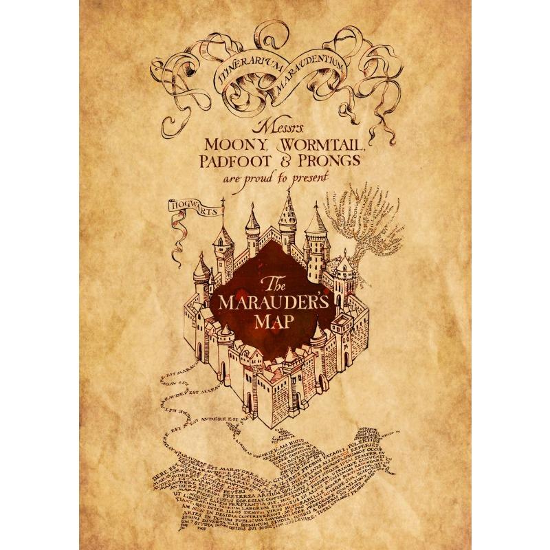 Vintage Wizarding-World Magical Chart Poster Wands Divination Magic School Canvas Painting Wall Art Dark Academy Dorm Home Decor