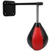 WallMounted Boxing Bag Speed Training Punching Bag Kits Wall Hanging Stress Relief Set