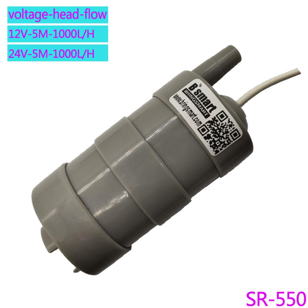 High Lift 5M 12V 24V High Pressure DC Submersible Pump 600L/H 1000L/H Micro Straight Slotted Cutting Rhinestone Pump Customized