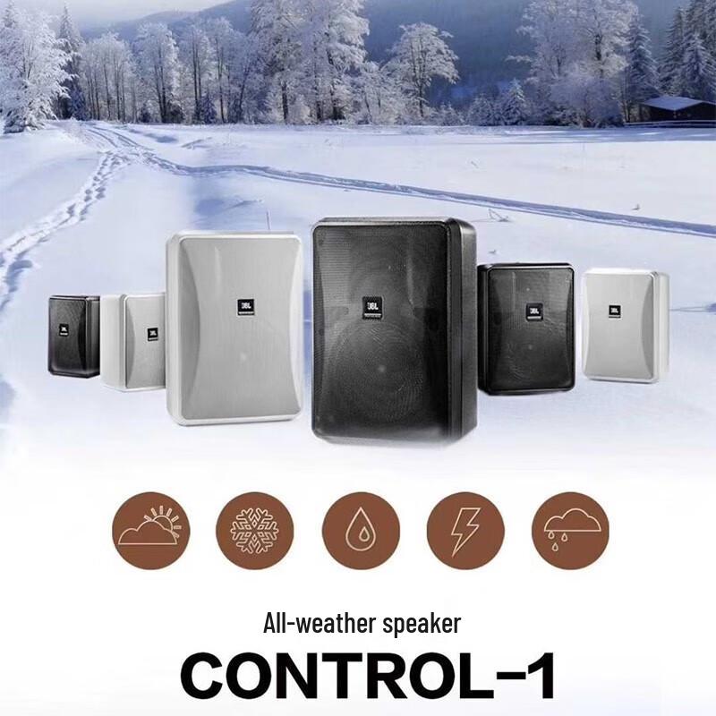 JBL Control Series Wall-Mounted Passive Speaker CN Plug (adapter Included)