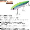 Daiwa Morethan Switch Hitter Gold Rainbow 120S+R Fishing Lure 120mm