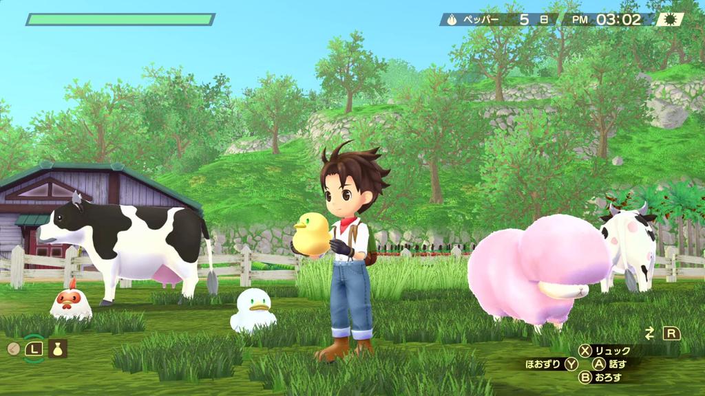 set Harvest Moon Wonderful Life download code be obtained or used due to expiration date [Goods included] Welcome! -Switch "Raincoat" Cannot