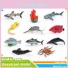 Kinder Meeresleben Figuren Clownfisch Seestern Krabbe Muschel PVC Meereskreaturen Set Für Klassenzimmer Dekoration Und Wissenschaftsprojekte